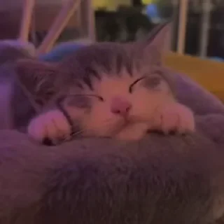 😋