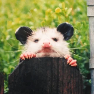 😳
