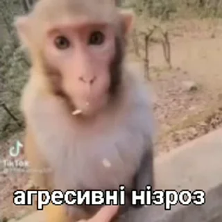 😡