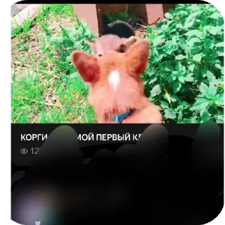 👍