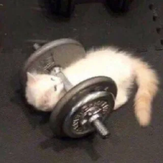 🦔
