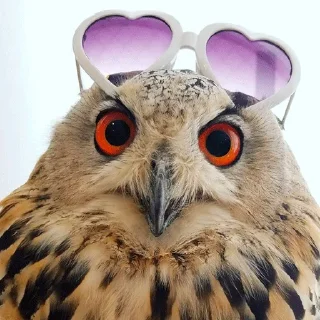 😍