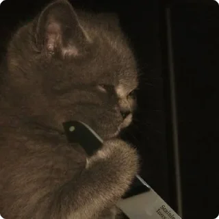 🔪