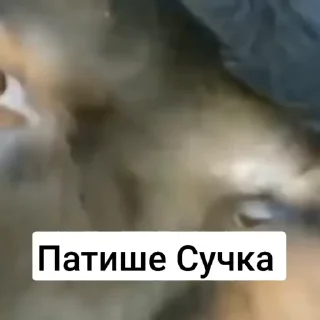 😱