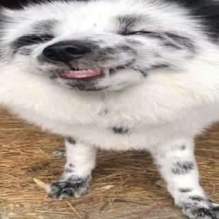 😁