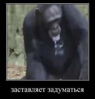 🧐