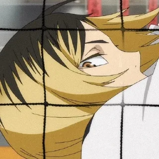 🌟