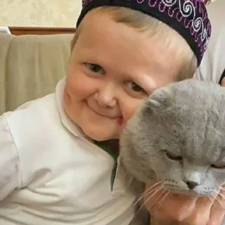 🐱