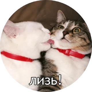 💋