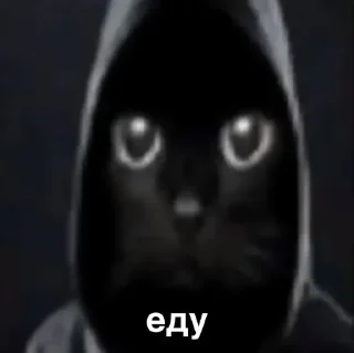😎