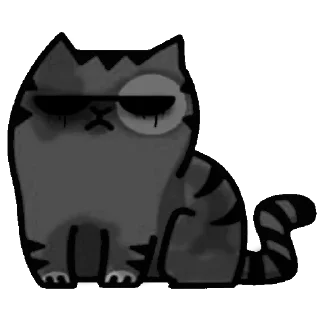 😾
