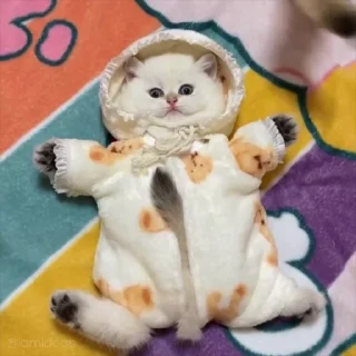 😳