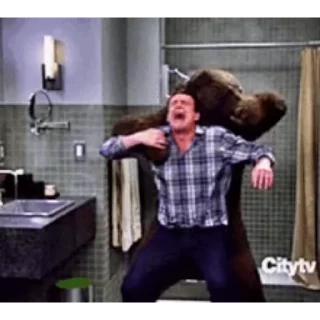 🐻