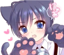 😽