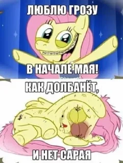 🌟
