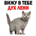 😂
