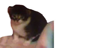 🫥
