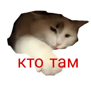 🧐