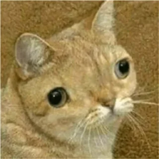 😐