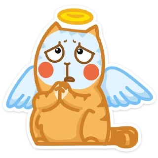 😇