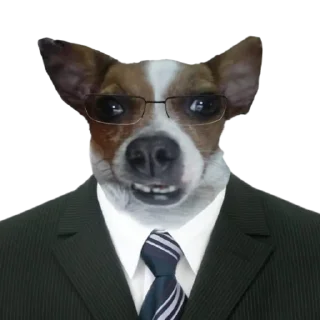 👨‍⚖️