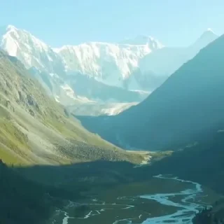 🌟