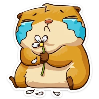 😭