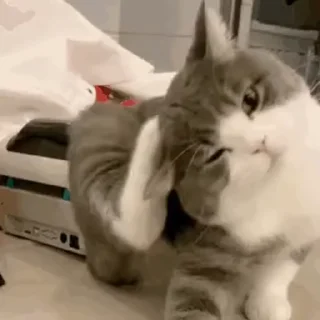 🦵