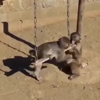 🤩