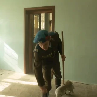 🧹