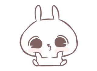 🐼