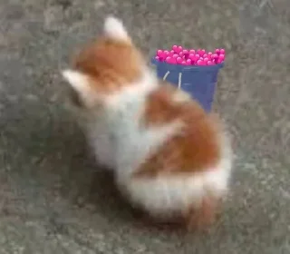 ❤️