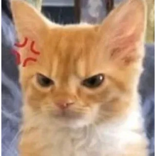 😠