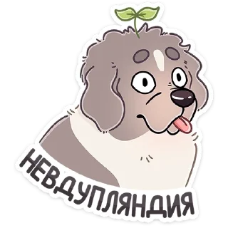 🐶