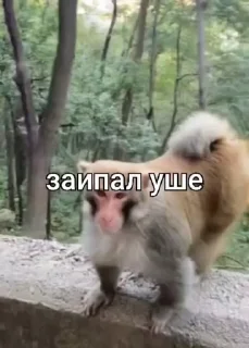😜