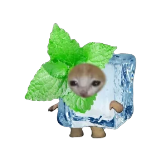 🫥