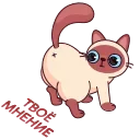 💩
