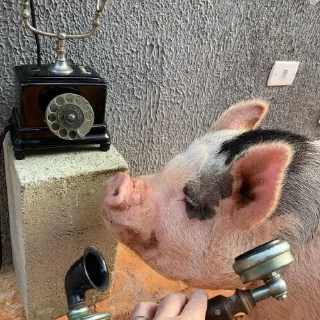📞