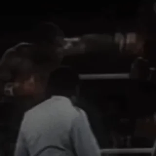 🥊