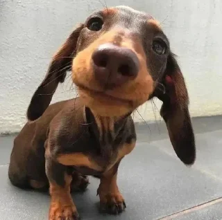 🙂