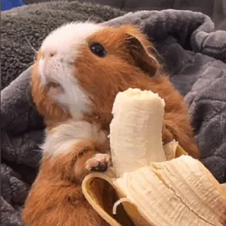 🍌