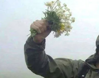 🌼