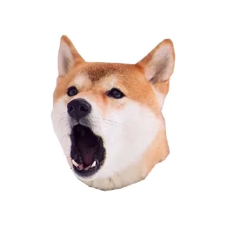 🐶