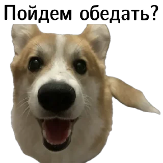 😋