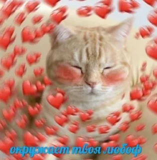 ❣