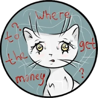 😿
