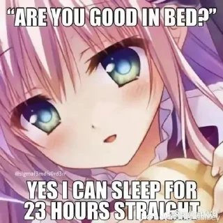 🛌