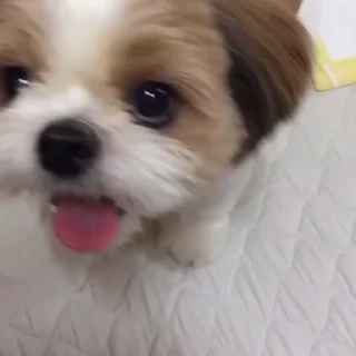🤤