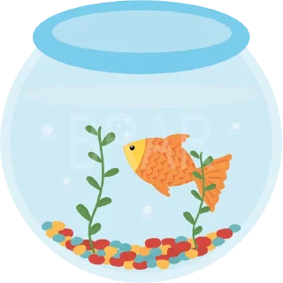 🐠