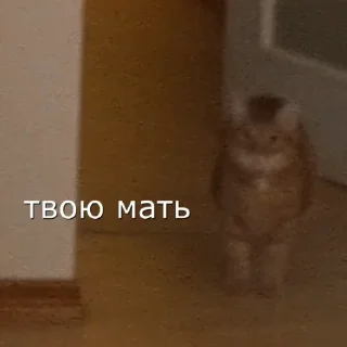 😳